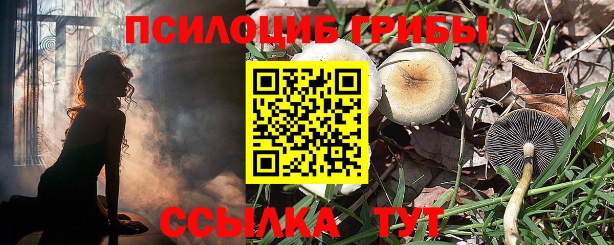 Псилоцибиновые грибы прущие грибы Черногорск