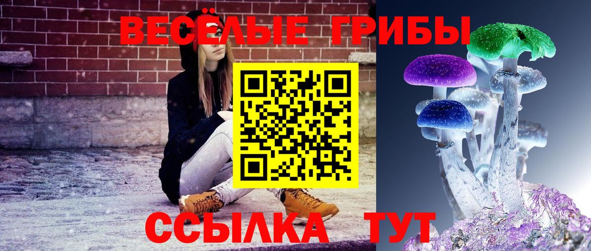 купить   Псилоцибиновые грибы ЛСД  Вход с VPN  Черногорск 