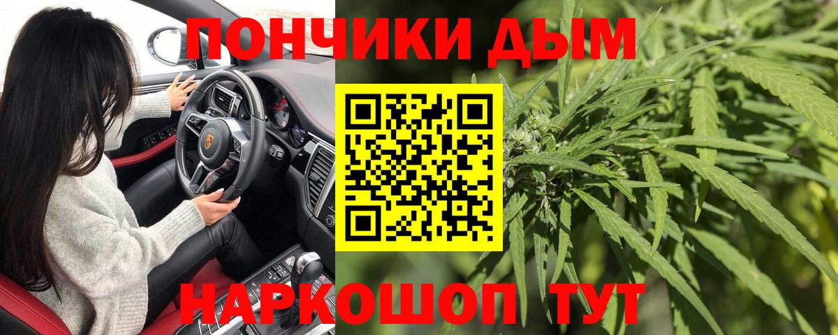 Канабис гибрид Черногорск